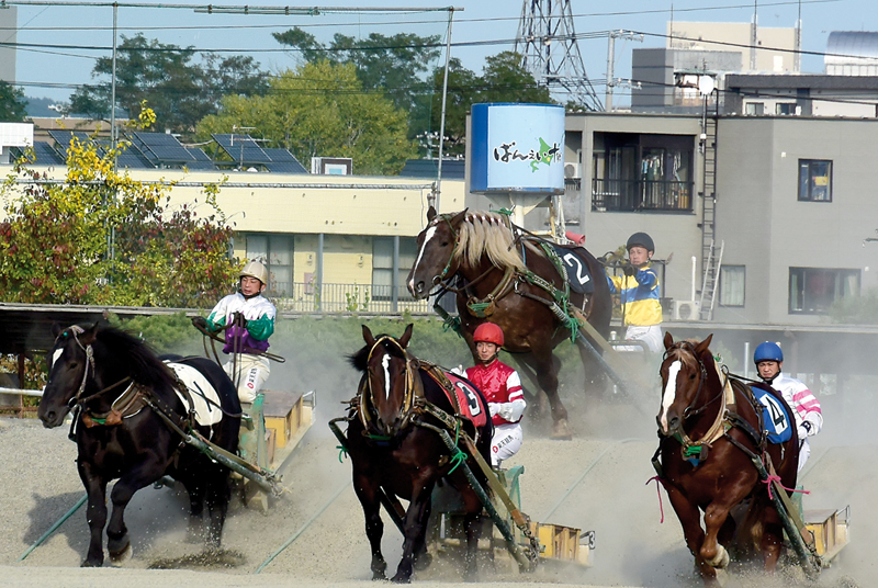 banei-courses-chevaux-hokkaido-zoomjapon78