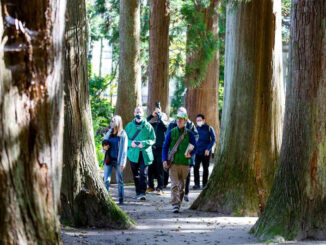 Giappone Tohoku Storied-Soil