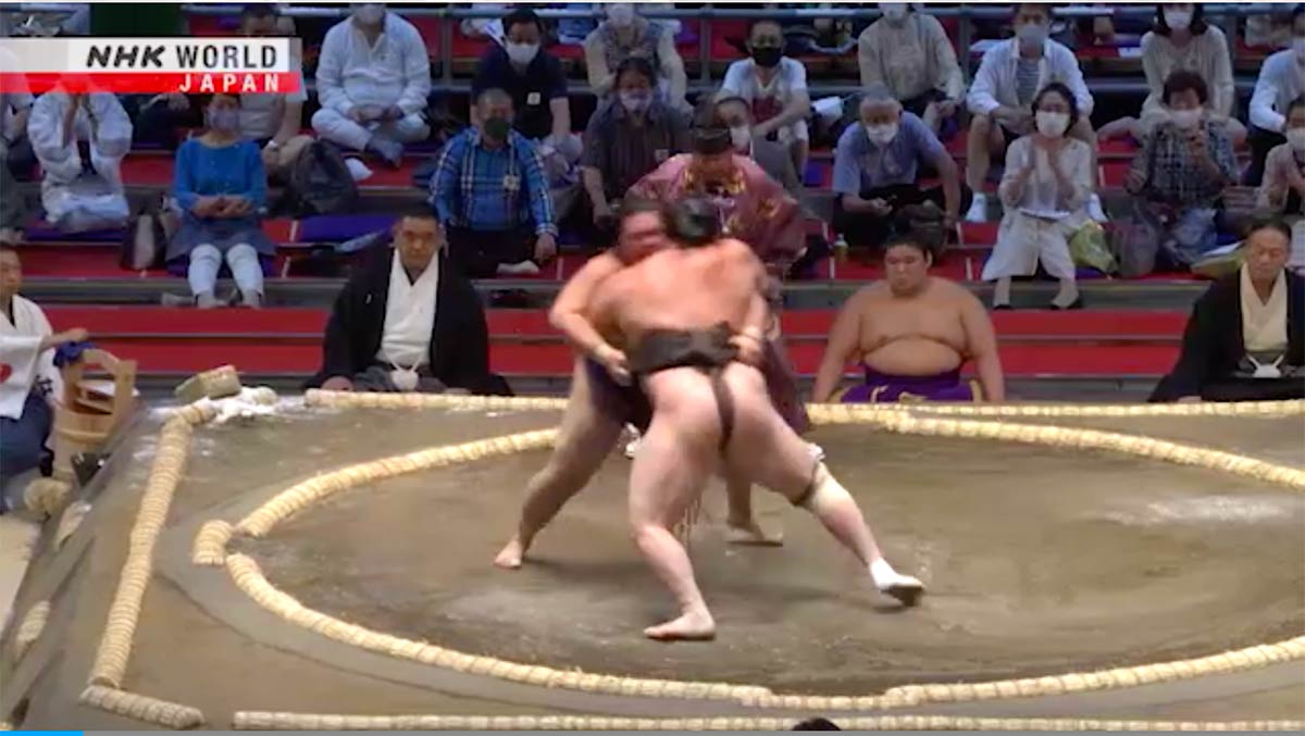 grand sumo nhk world japan